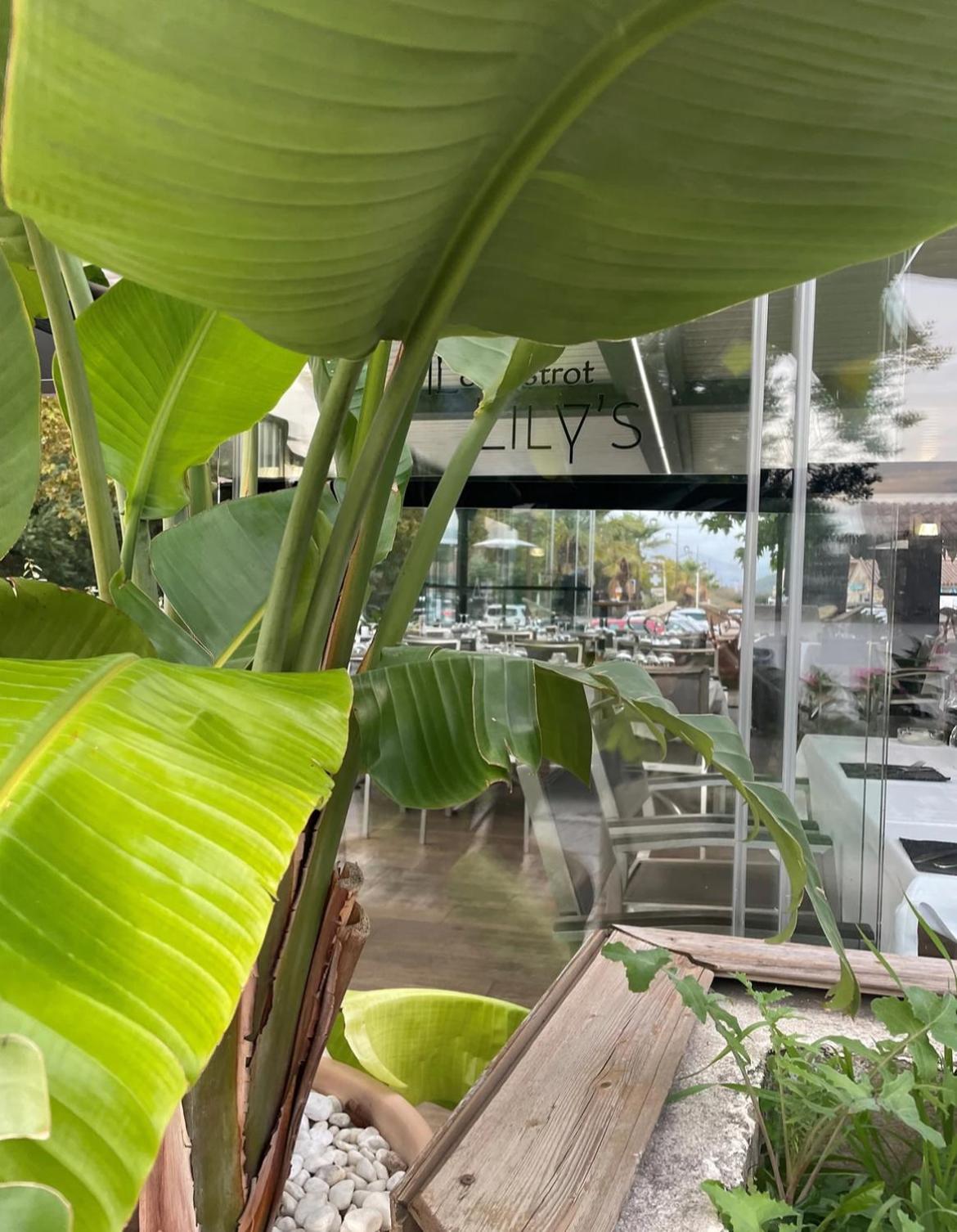 Studio 28 M2 Porticcio Centre Eksteriør bilde